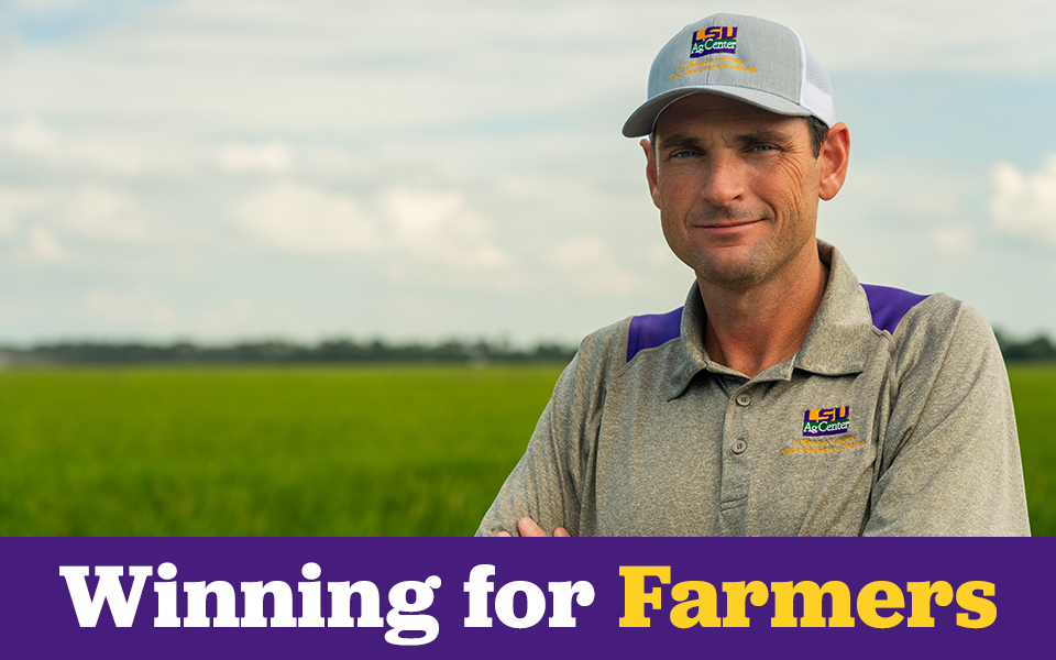 Winning for Farmers